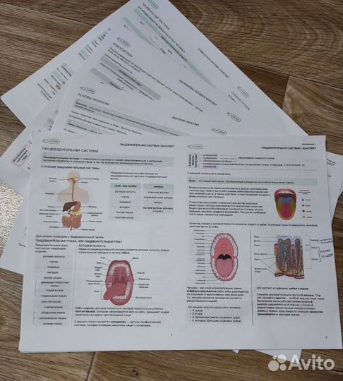 Конспекты огэ pdf биология