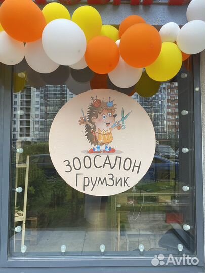 Груминг обучение