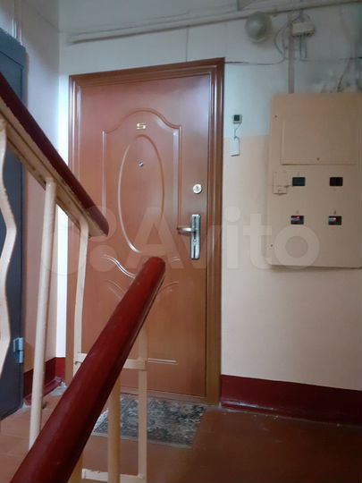 2-к. квартира, 49,5 м², 2/3 эт.