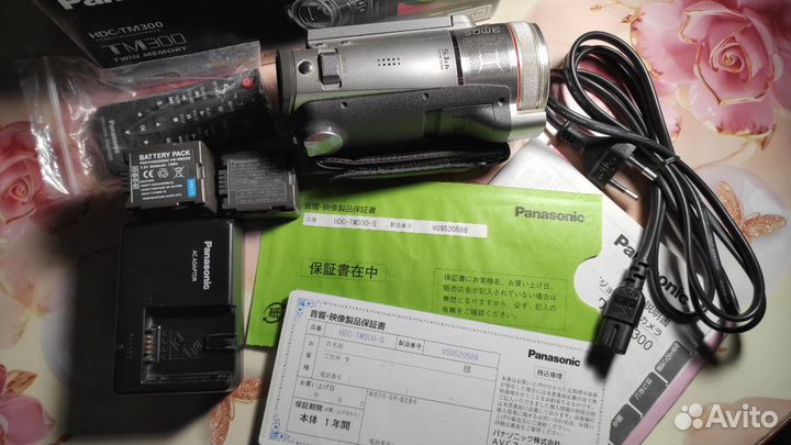 Видеокамера Panasonic HDC-TM300