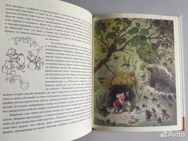 В стране гномов. Эрих Хайнеманн