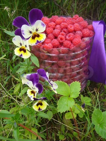 Дача 20 м² на участке 9 сот.