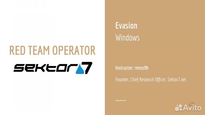 Курс от sector 7 