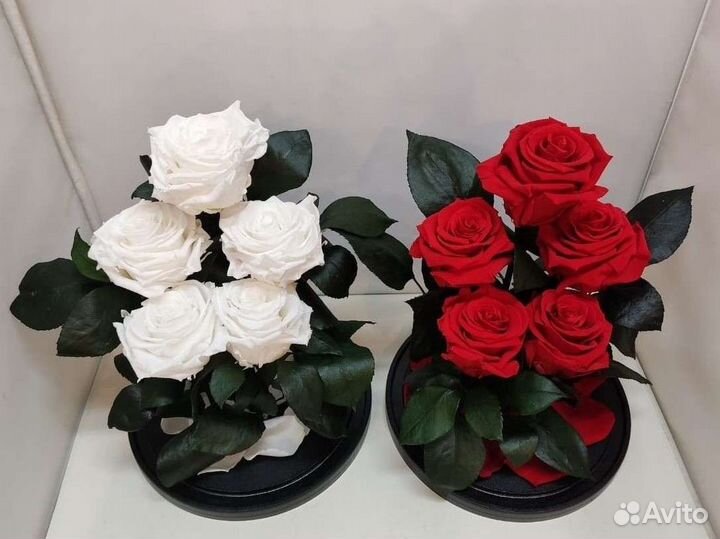 Роза в колбе оптом