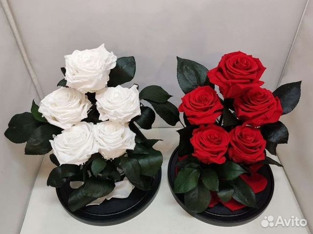 Роза в колбе оптом