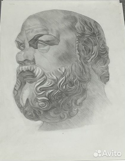 Репетитор по академическому рисунку