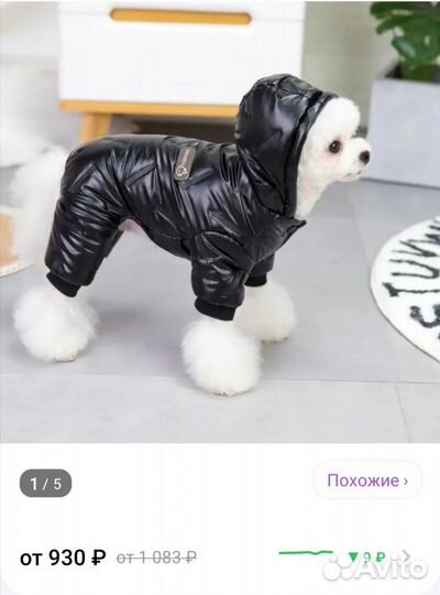 Одежда для собаки