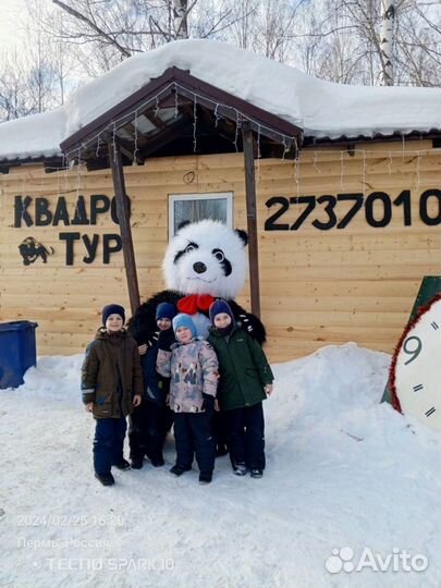 Панда на праздник/ Ростовая кукла/ Аниматор