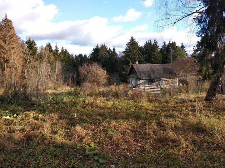 Дом 42 м² на участке 36 сот.