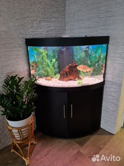 Аквариум 120 литров