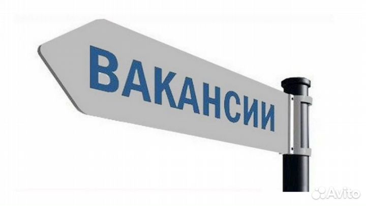Продавец в магазин техники