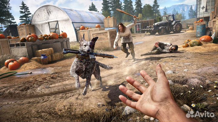 Far Cry 5 + New Dawn PS4/PS5