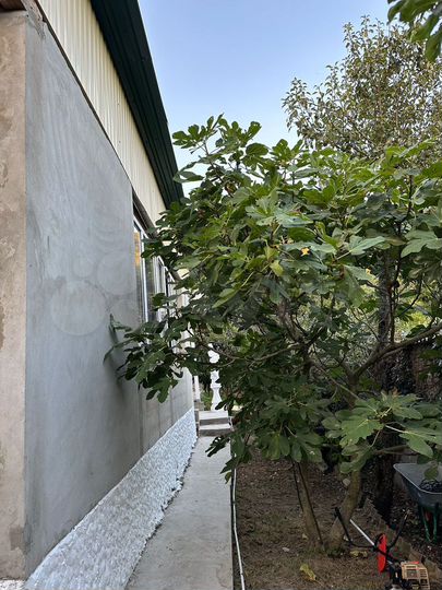 Дом 68 м² на участке 6 сот.