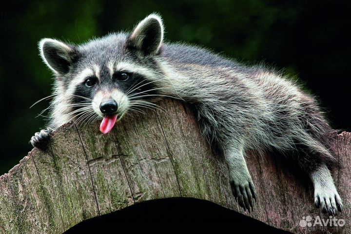 Путешествие в село Татищево - 