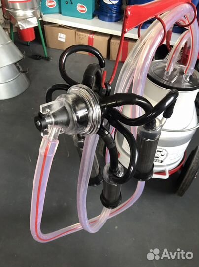 Доильный аппарат для коров