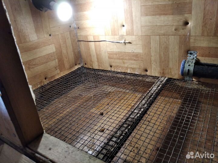 Брудер для цыплят