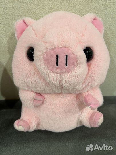 Хорошенькая свинка