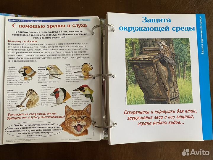 Карточки deagostini