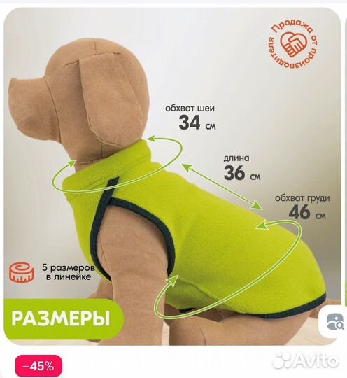 Обмундирование для собаки