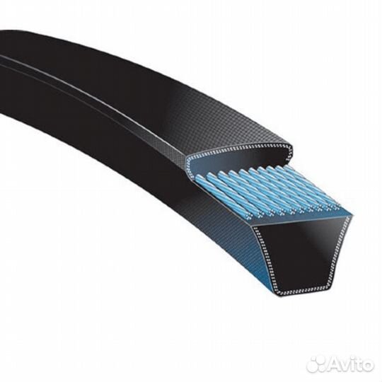 Ремень SPB 3650 Contitech