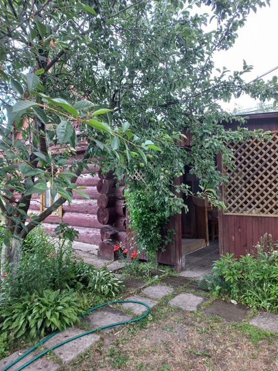 Дача 31,6 м² на участке 4 сот.