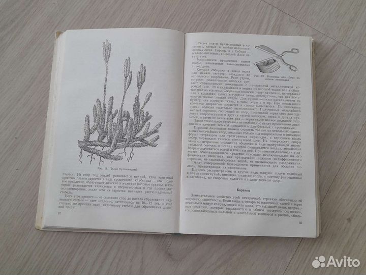 Лекарственные растения. Растения целители