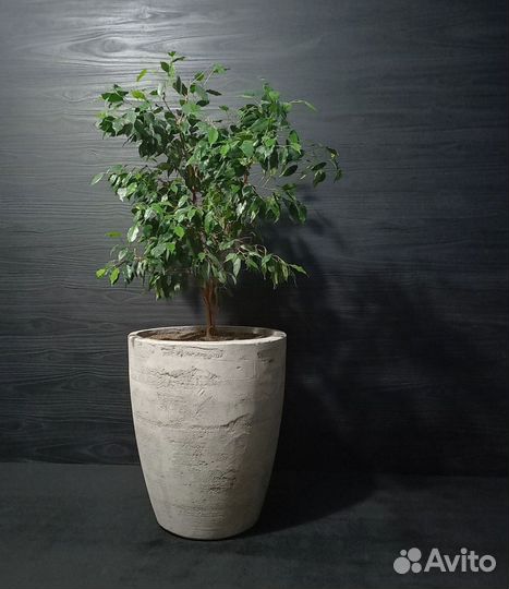 Вазоны, Горшки, Кашпо под заказ из бетона