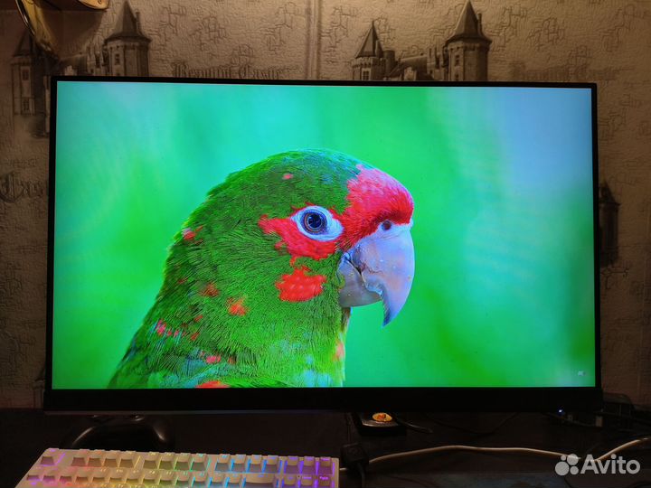 Игровой монитор MSI optix g242 144hz