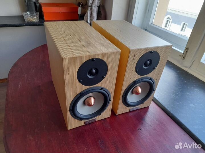 Акустика Penaudio Cenya
