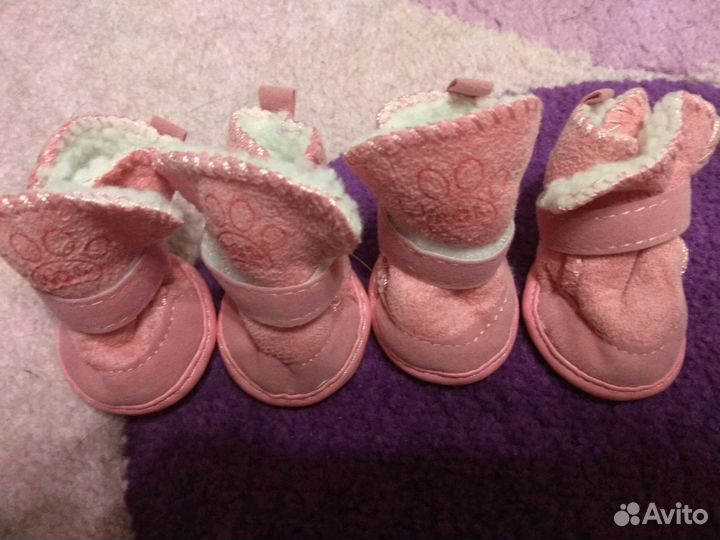 Ботиночки для собак