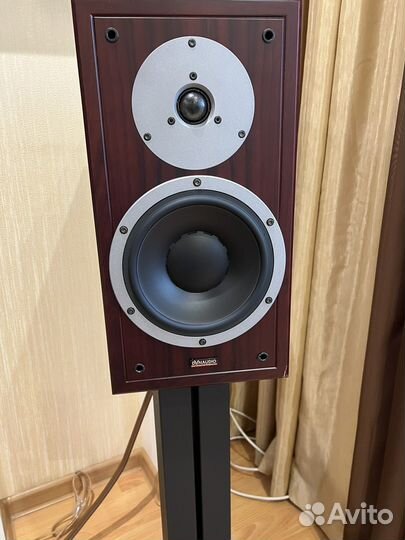 Акустика Dynaudio special twenty five