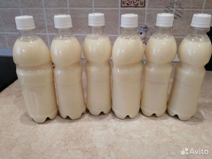 Барсучий Жир 2023