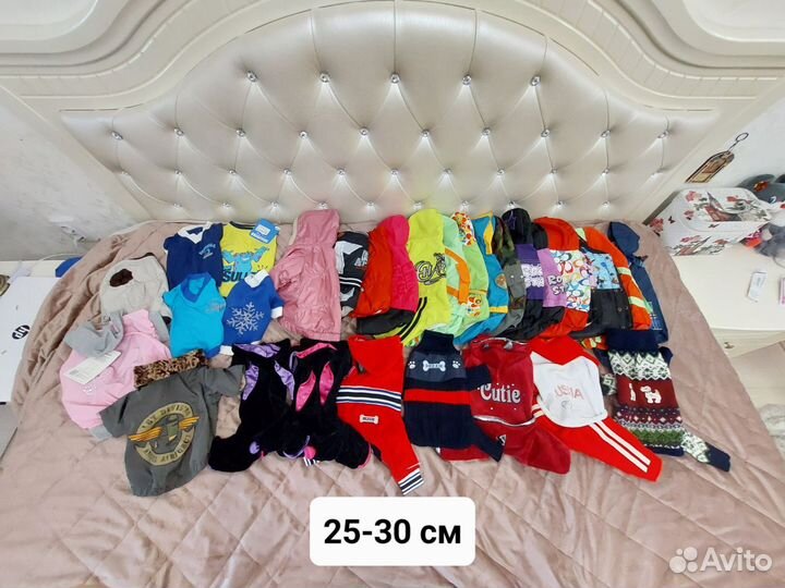 Одежда для собак