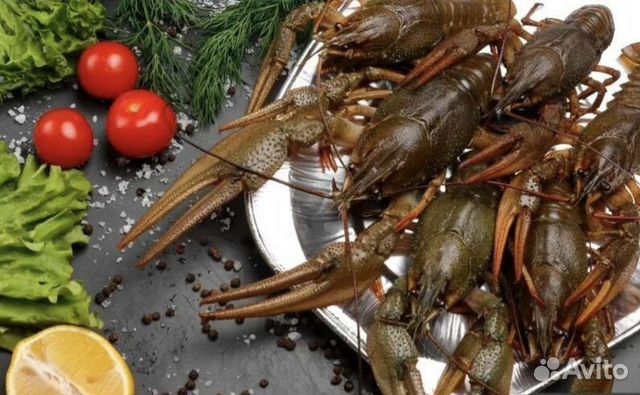 Живые раки доставка бесплатно