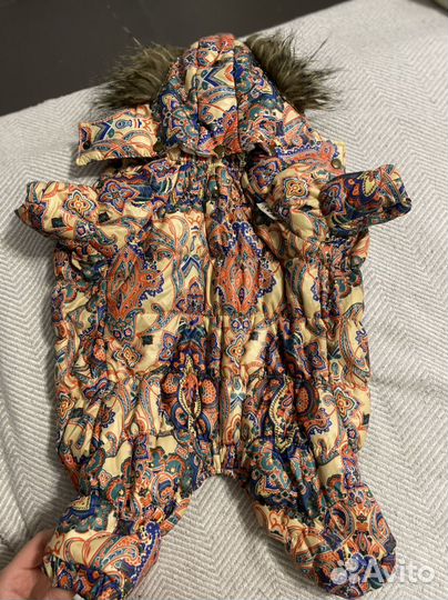 Крутой комбинезон для собаки