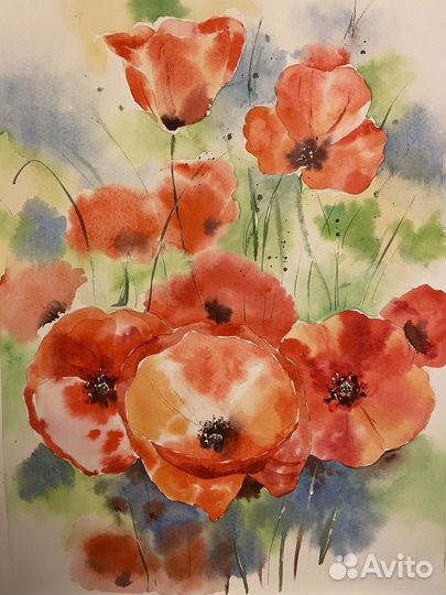 Картины акварелью серия Маки