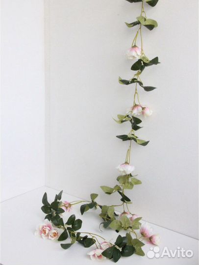 Лиана с розами