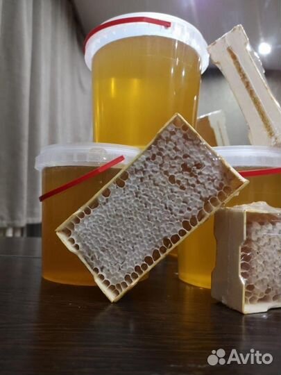 Мёд домашний донник и цветочный, перга