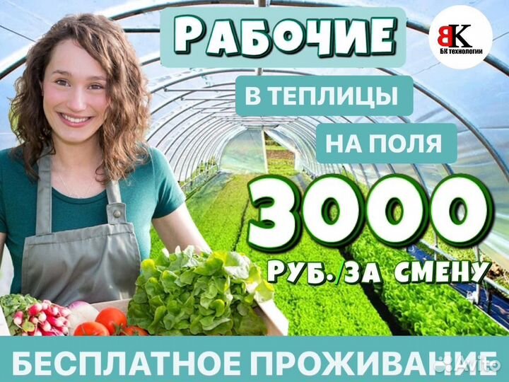 Работники в полях и теплицах