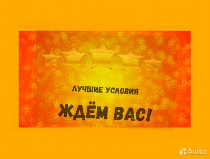 Сборщик Выплаты еженедельно Без опыта М/Ж