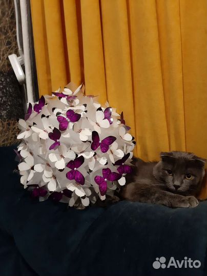 Букет из бабочек