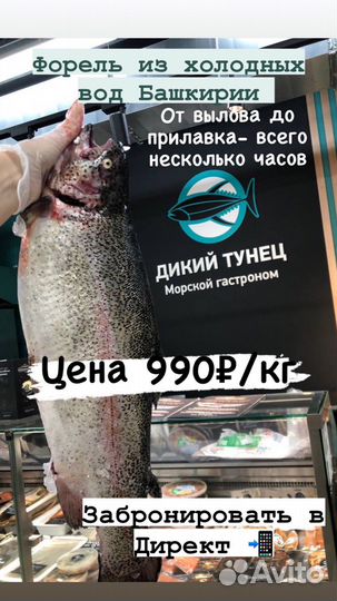Форель охлажденная