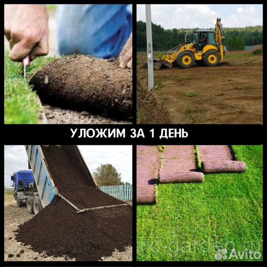 Рулонный газон от производителя