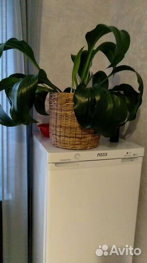 Корзина плетеная большая