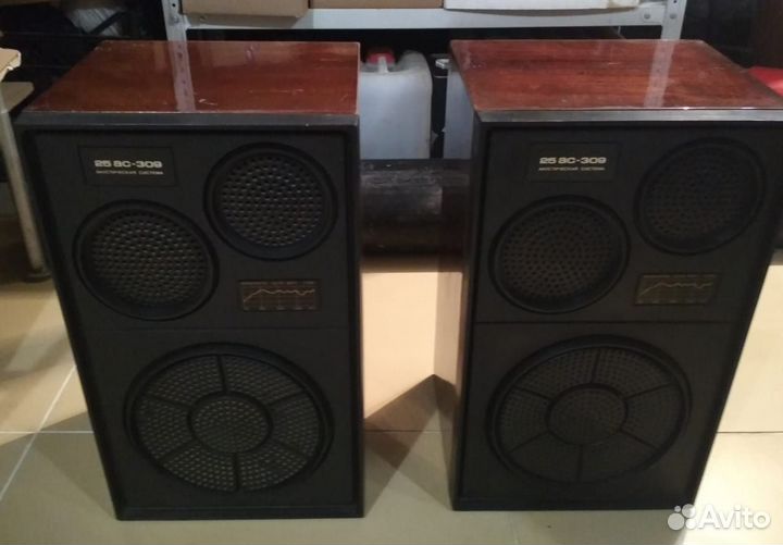 Колонки Вега 25ас-309