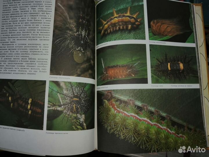 Книги о животных