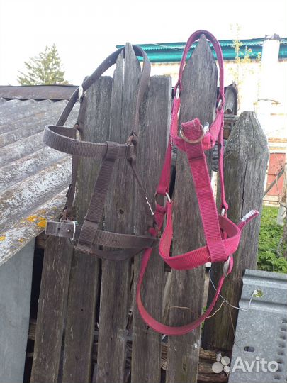 Недоуздок для лошади