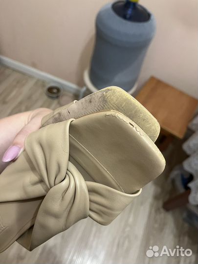 Эконика мюли