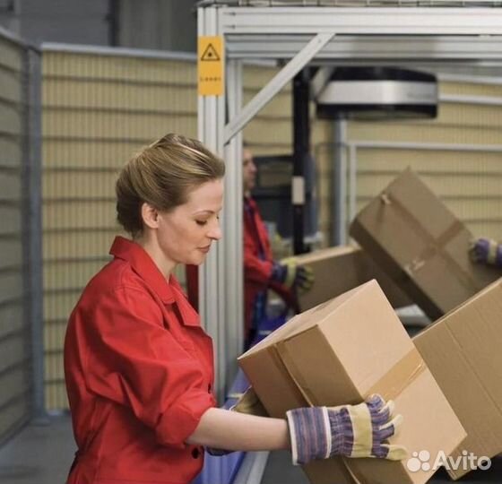 Укладчик упаковщик