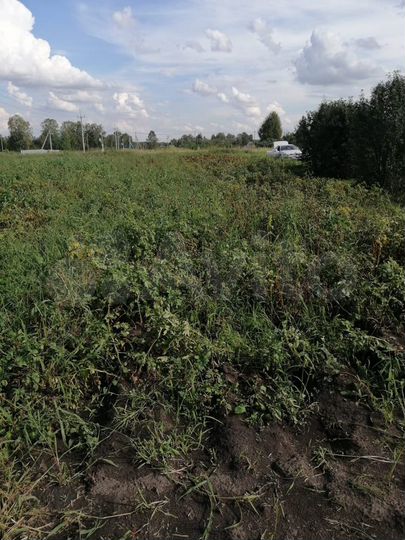 Участок 6 сот. (СНТ, ДНП)